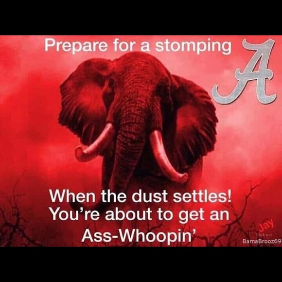 Meet your Posher, Bobbie - Picture 1 of 1